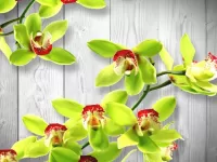 Rompecabezas orhideya 11