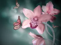 Пазл Орхидея и бабочка