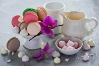 Bulmaca Orchid and sweets