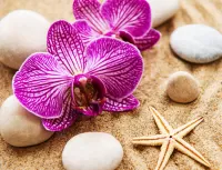 Пазл Орхидея на песке 