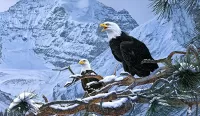 Puzzle Eagles in the mountains