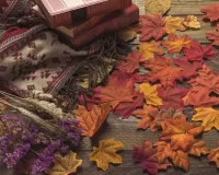 Jigsaw Puzzle Autumn is the time for books
