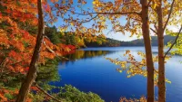 Quebra-cabeça Autumn on the lake