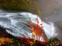 Пазл Осень у водопада