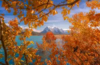 Jigsaw Puzzle Autumn in Canada