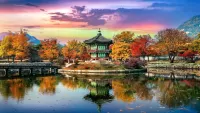 Jigsaw Puzzle Autumn in Korea