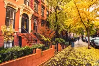 Quebra-cabeça Autumn in New York