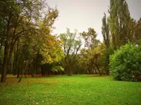 Пазл осень в парке