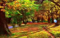 Zagadka Autumn in the park