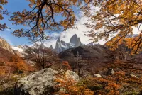 Quebra-cabeça Autumn in Patagonia
