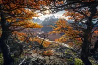 Jigsaw Puzzle Autumn in Patagonia