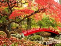 Пазл Осень в Японии