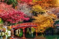 Puzzle Autumn in Japan