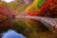 Puzzle Autumn in Japan