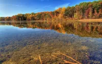 Quebra-cabeça Autumn lake