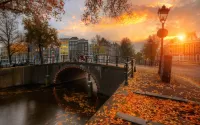 Quebra-cabeça Autumn Amsterdam
