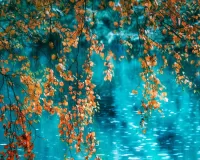 Пазл Осенний дождь