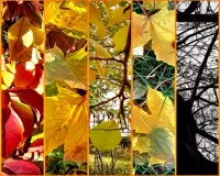 Bulmaca Autumn collage
