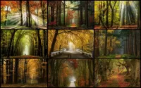 Rätsel Autumn collage