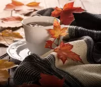 Zagadka Autumn drink