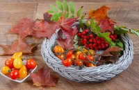 Zagadka Autumn still life 