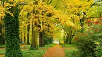 Zagadka Autumn Park