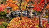 Bulmaca Autumn park in Kyoto