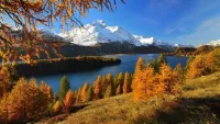 Bulmaca Autumn landscape