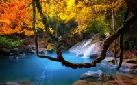 Bulmaca Autumn waterfall