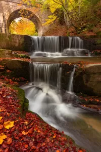 Rompecabezas autumn waterfall