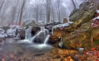 パズル autumn waterfall