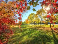 Quebra-cabeça Autumn park