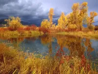 Rompecabezas Autumn pond
