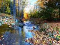 Пазл Осенний ручей
