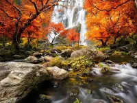 Пазл Осенний водопад