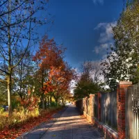 Zagadka Autumn path