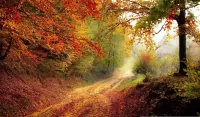 Bulmaca Autumn Trail