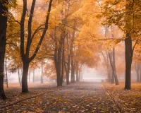 Jigsaw Puzzle Autumn alley