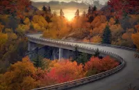 Quebra-cabeça Autumn highway