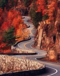 Zagadka Autumn road