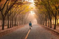 Jigsaw Puzzle Autumn road