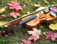 Rompicapo autumn melody