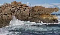 Quebra-cabeça Island Crocorock