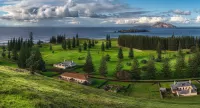 Rompecabezas Norfolk Island