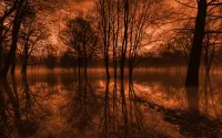 Jigsaw Puzzle red sky reflection