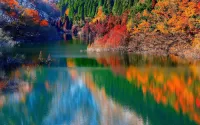 Bulmaca Reflection of autumn
