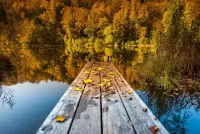 Rätsel Reflection of autumn