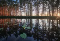 Zagadka Reflection in the lake