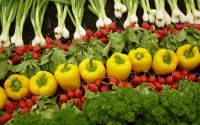 Slagalica vegetables