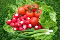 Quebra-cabeça Vegetables for salad